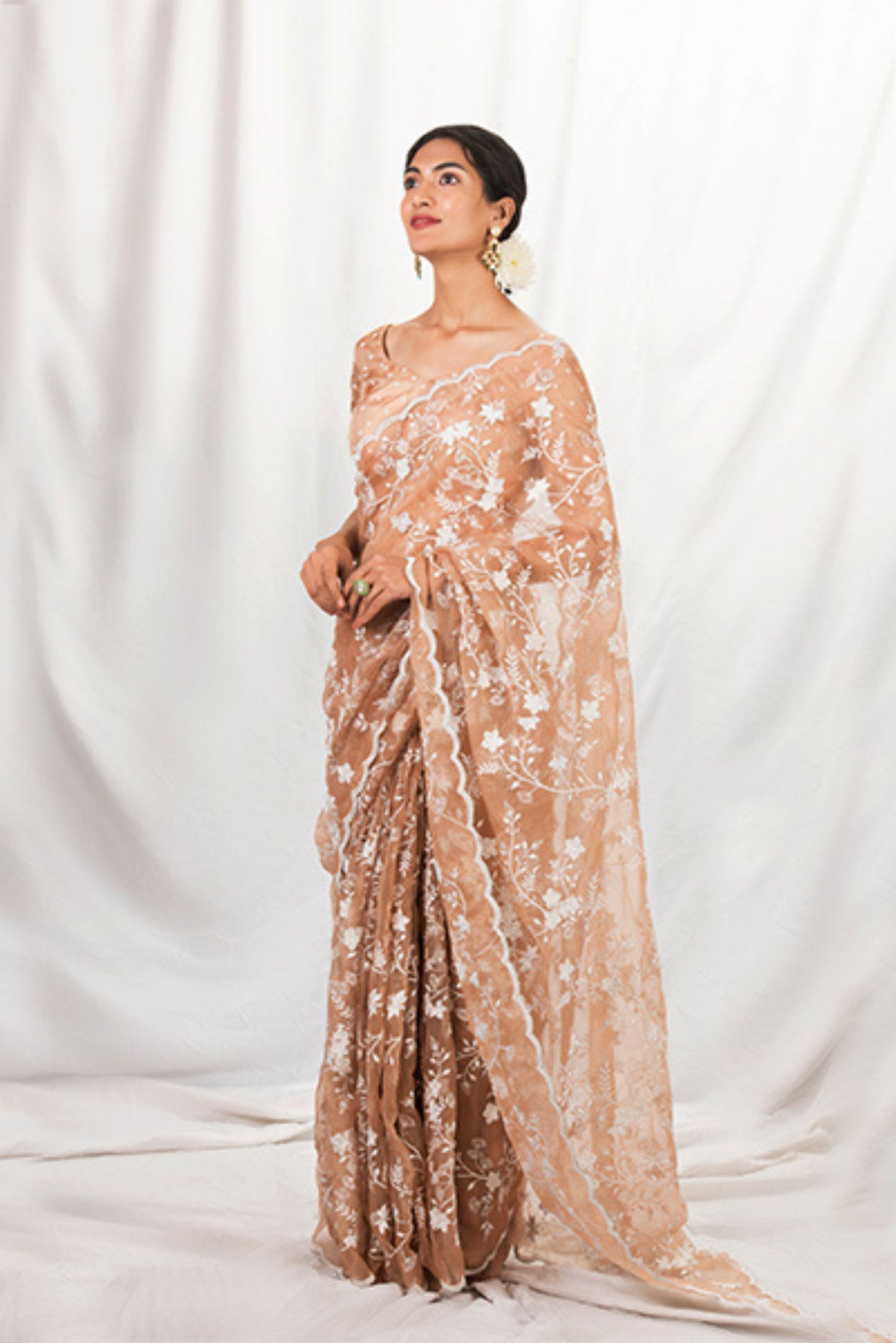 Sepia net Saree & blouse Set